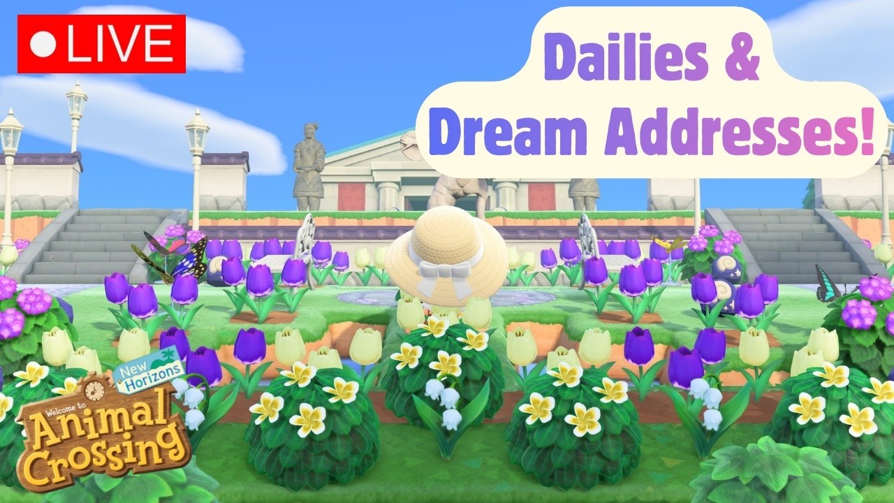 Dailies & Dream Addresses!! | Animal Crossing New Horizons
