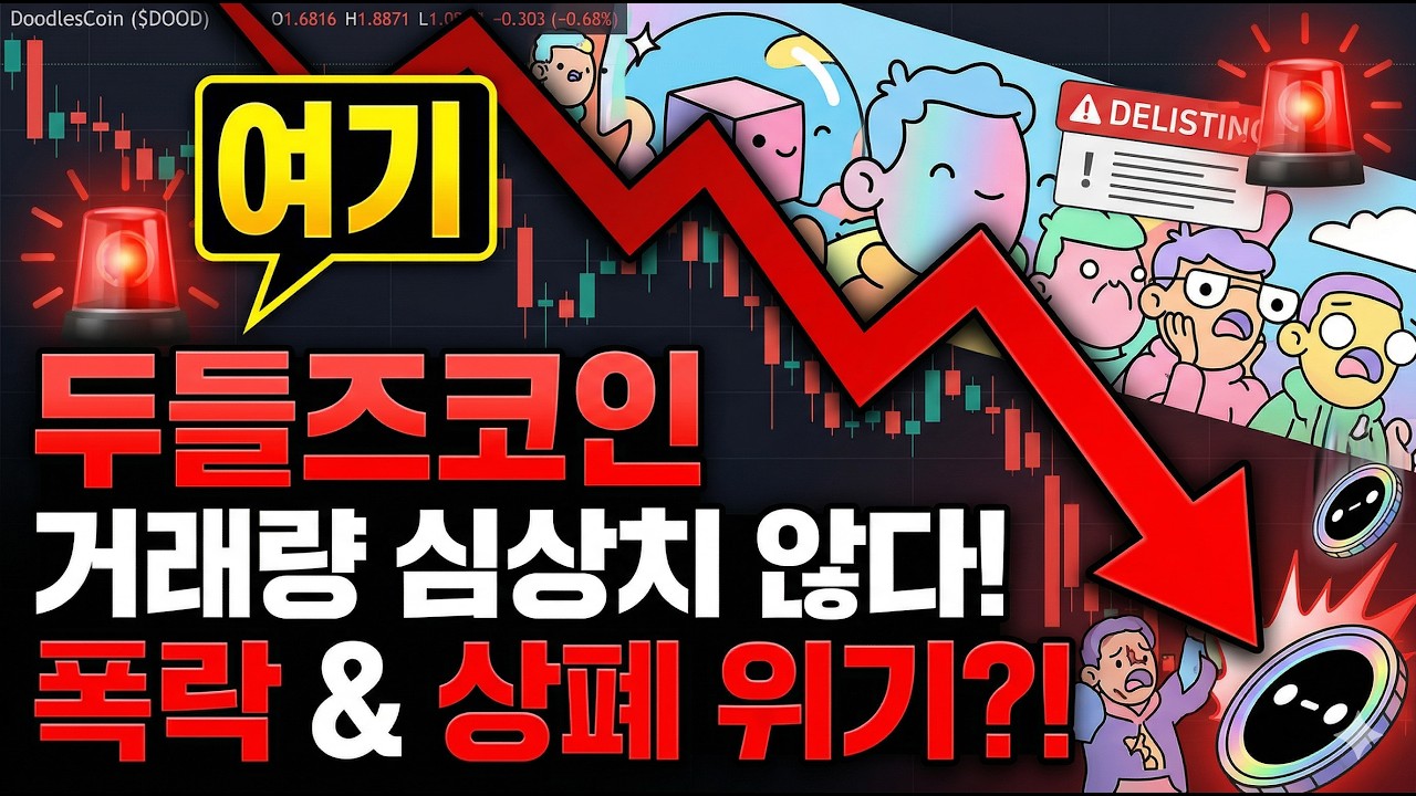 [두들즈코인 전망] 거래량이 심상치 않다?! 