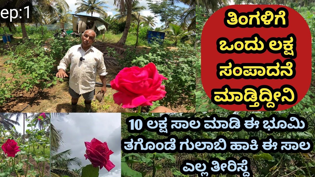 ಎರಡುವರೆ ಎಕರೆಯಲ್ಲಿ ಗುಲಾಬಿ ತೋಟ ಮಾಡಿದ್ದೀನಿ... ಇವತ್ತು ನಾನು ಗುಲಾಬಿ ತೋಟ ಮಾಡಿಲ್ಲ ಅಂದಿದ್ರೆ.. ಜೀವನದಲ್ಲಿ ಕೆಟ್ಟ