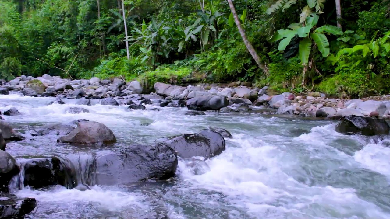 Sleep Better with Mountain River | Calm Nature Water Sounds for Deep Sleep Tonight