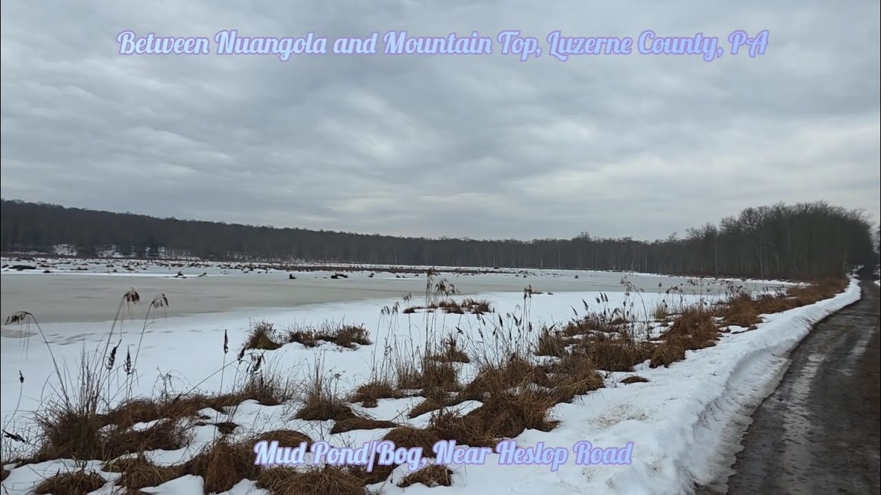 Mud Pond/Bog, Near Heslop Rd, Between Nuangola and Mountain Top, Luzerne County, PA. Music by Kapka.