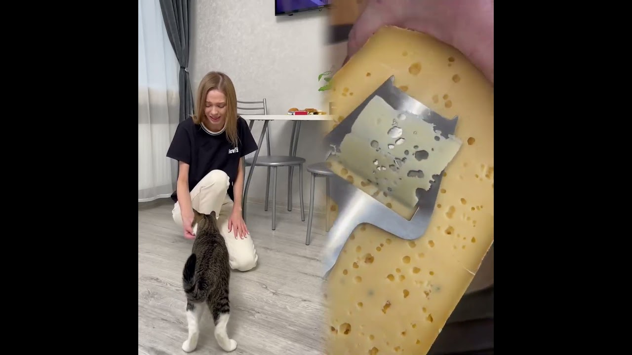 ХОЗЯЙКА ОБМАНУЛА МЯТУ?!😱