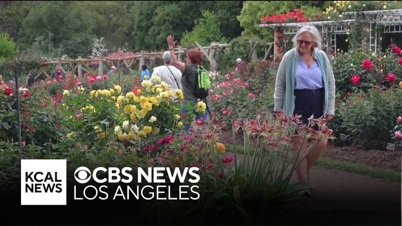 The Huntington Library, Art Museum, and Botanical Gardens | Let's Go Places