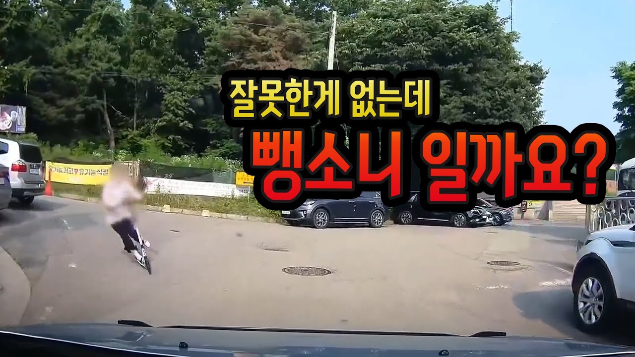 11442회. 잘못한게 없는데 뺑소니가 될까요?