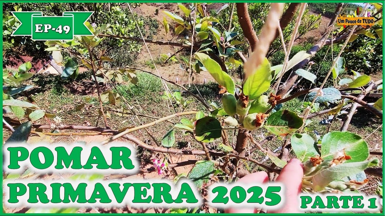 Atualização do Pomar PRIMAVERA/2025 - Parte1 [ Mini Chácara EP-49 ]