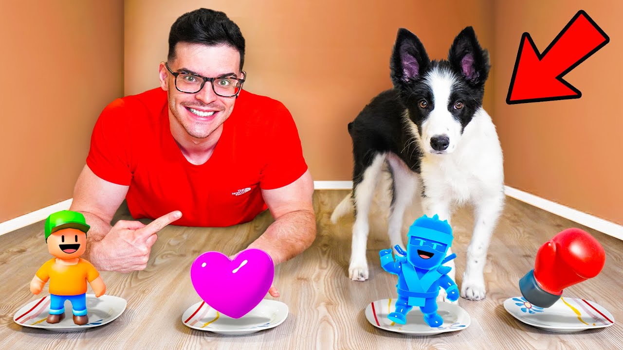 Mi Perro Decide Mi Partida de Stumble Guys!
