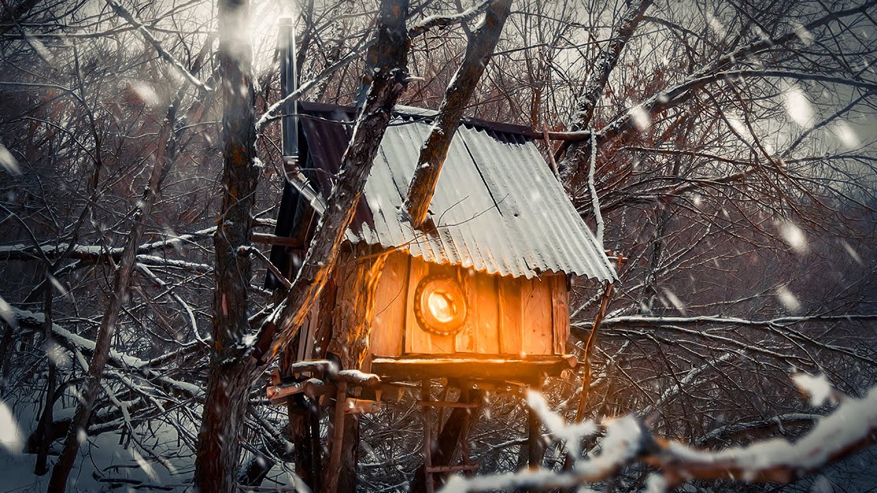 1 YEAR IN A TREE HOUSE by the river | START and FINISH of the project