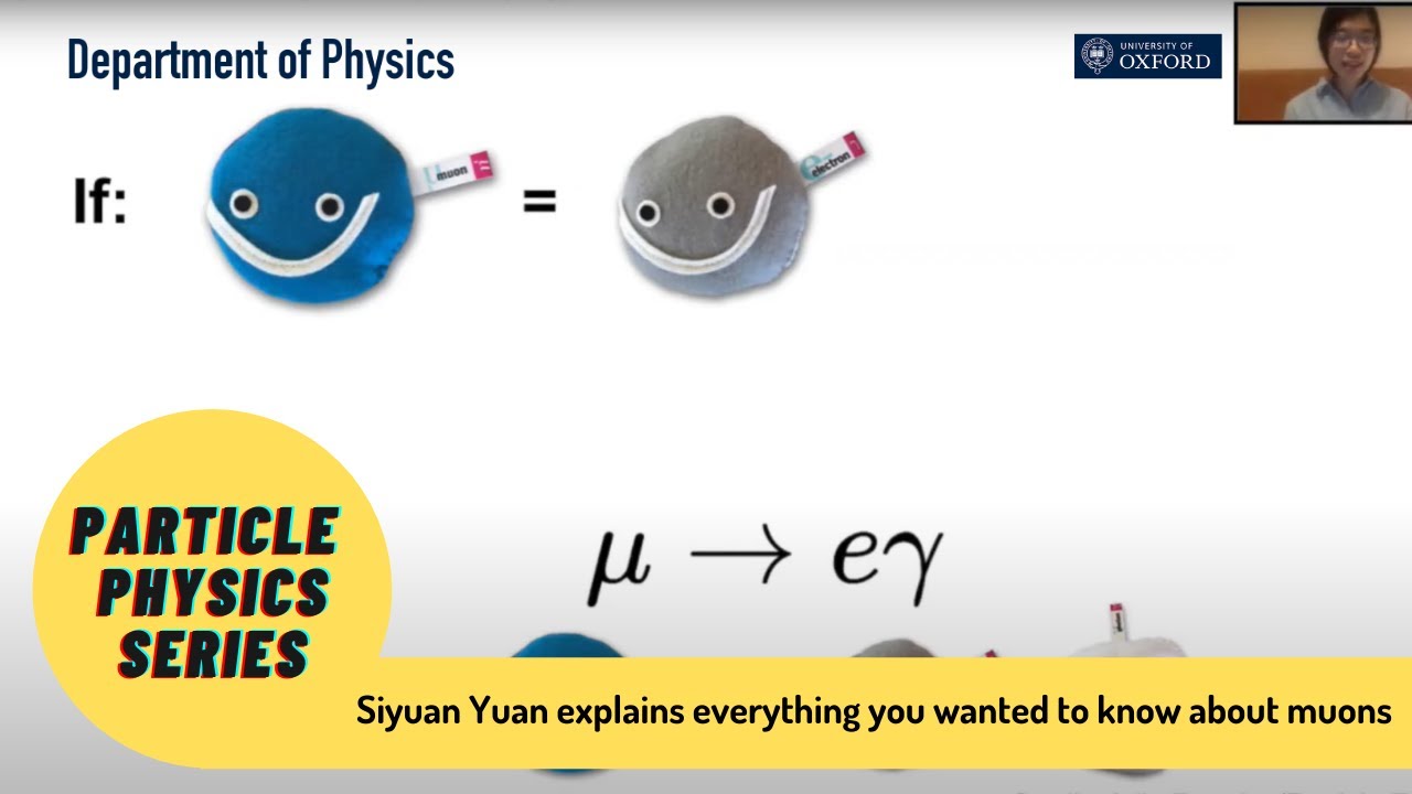 Siyuan Yuan explains everything you wanted to know about muons