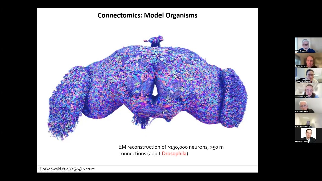 Making Connections - Prof. Olaf Sporns