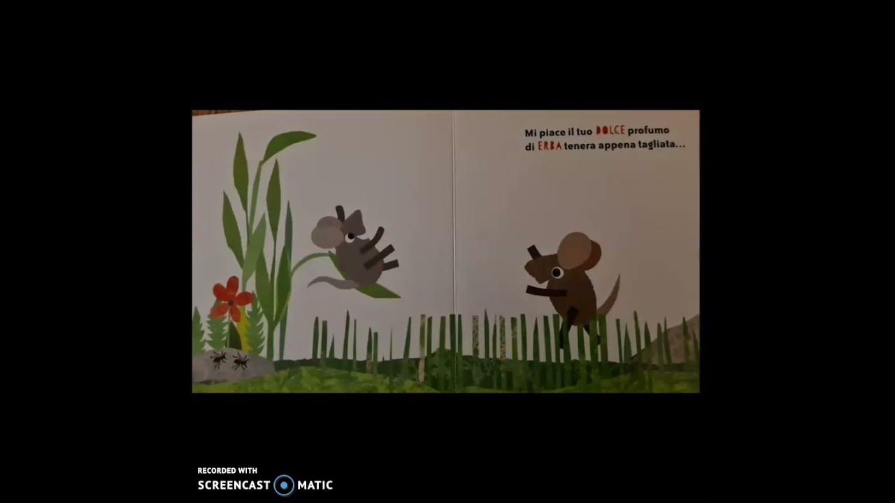 Lettura - Primavera
