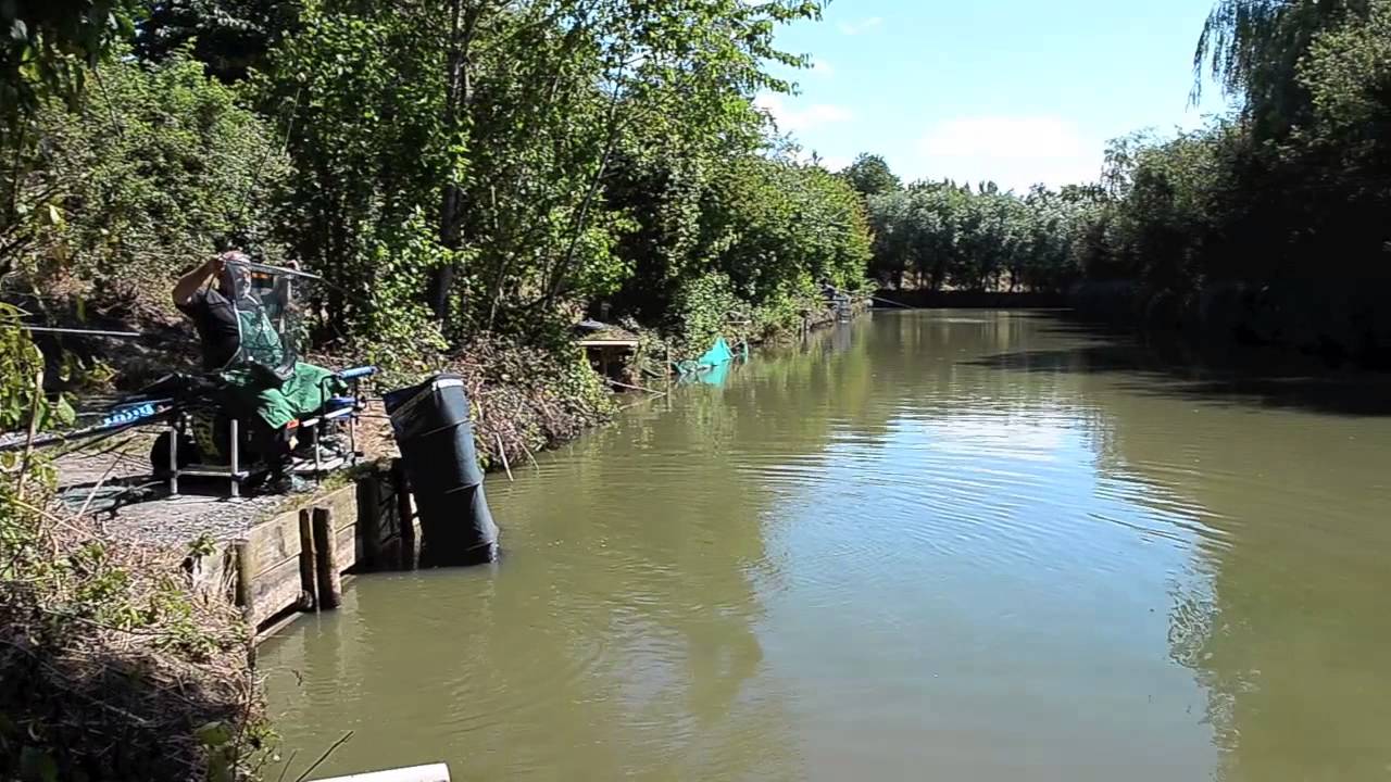 LANDS END FISHERIES, HEATH HOUSE, WEDMORE, SOMERSET