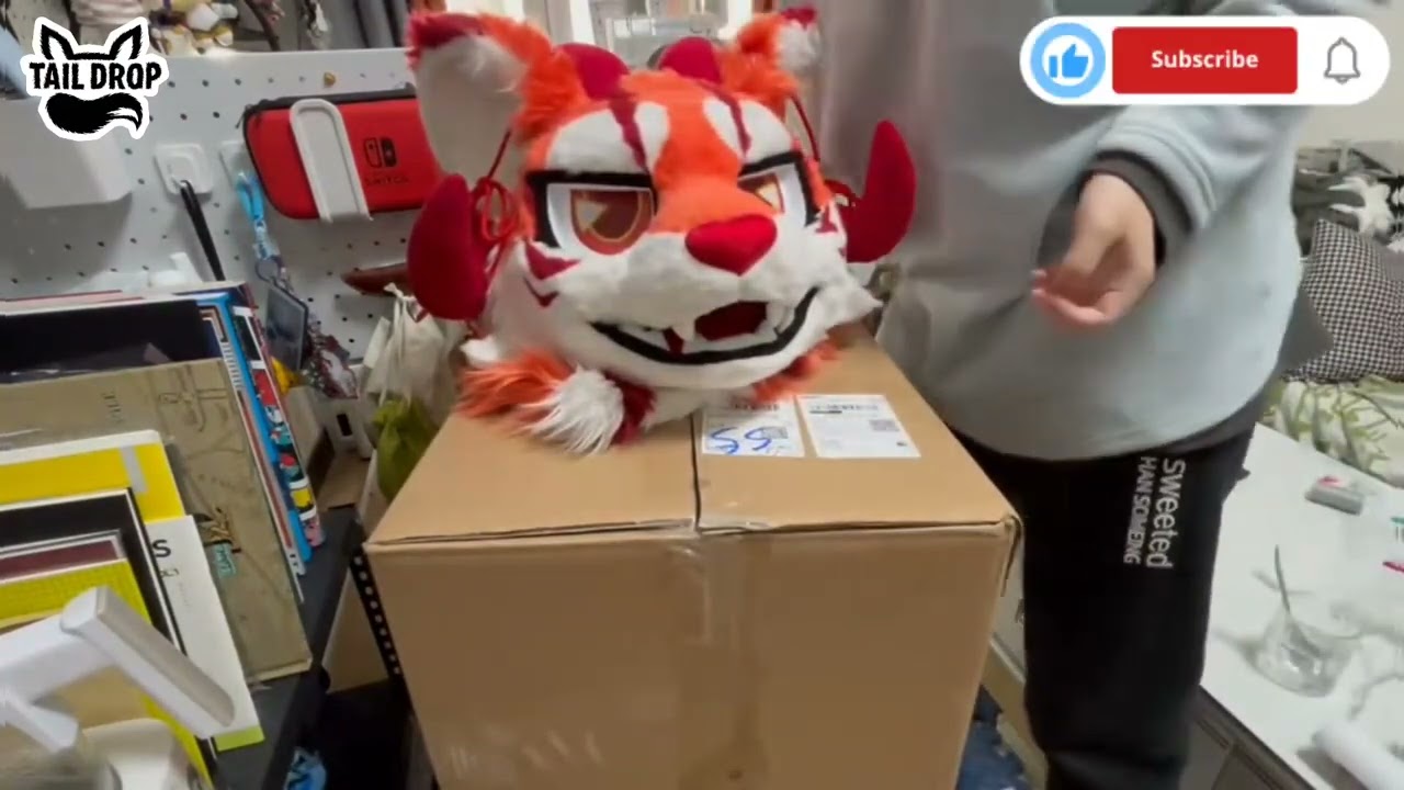Fursuit Unboxing Récord, AKI American-style full suit