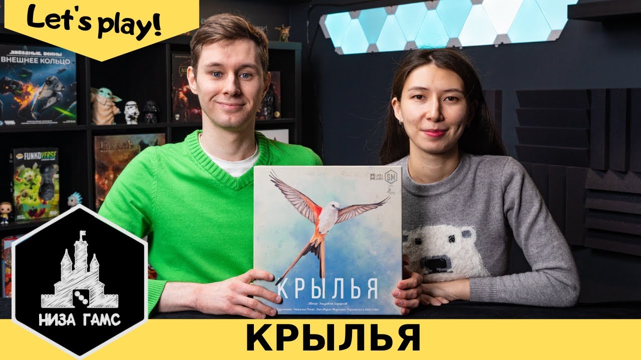 Играем в Крылья! Одна из самых хайповых семейных игр последних лет. Правила и летсплей.