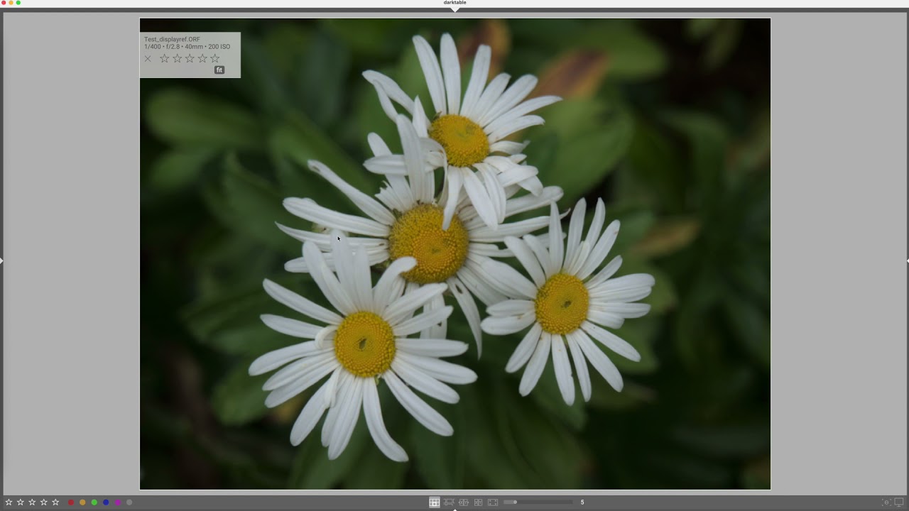 Rapidfire Fix #3 - Demystifying Darktable Import and Preview
