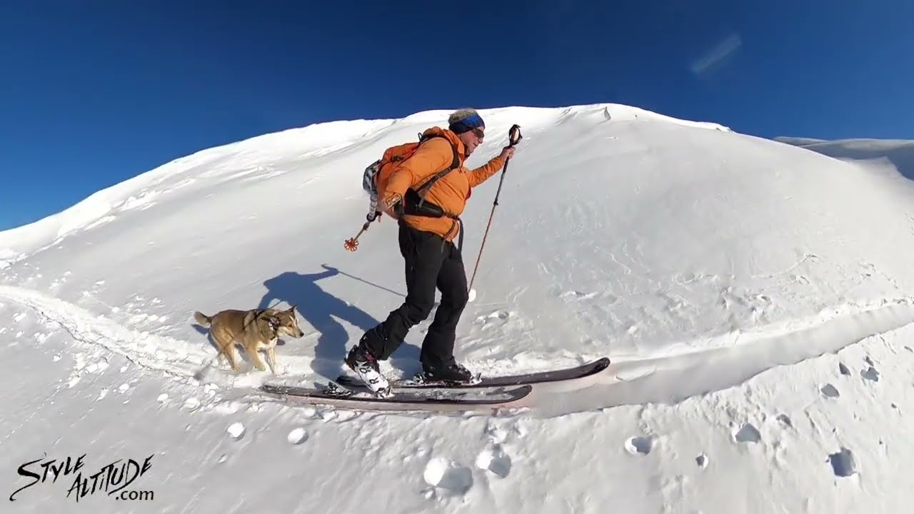 Backcountry ski-touring and skiing with your dog in off-piste powder after a Retour D'Est