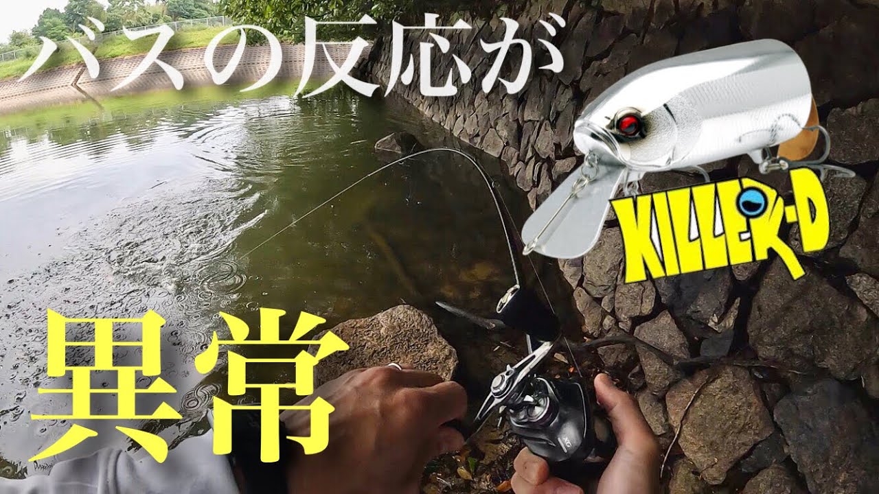【バス釣り】ルアーパワー炸裂‼︎バスの反応がヤバすぎる…［キラーD］［レイドジャパン］［トップウォーター］［バンタム］［ブレイゾン］