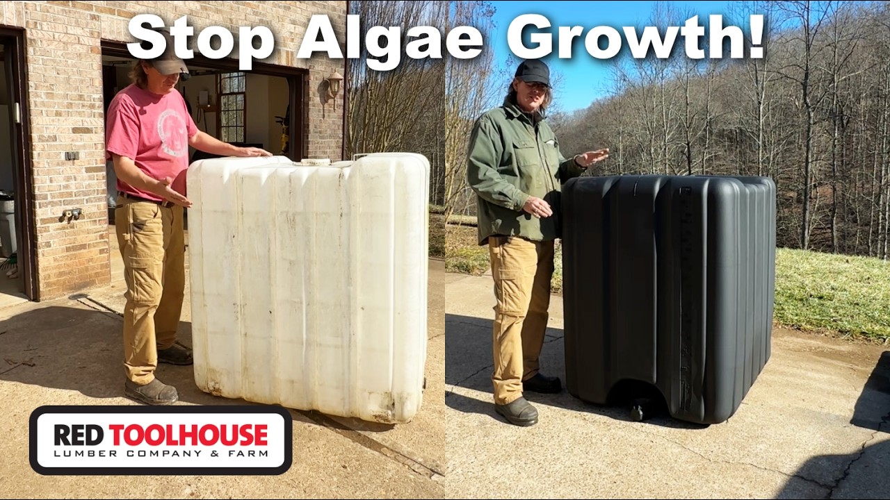 Stop Algae Immediately by Blacking Out IBC Tote