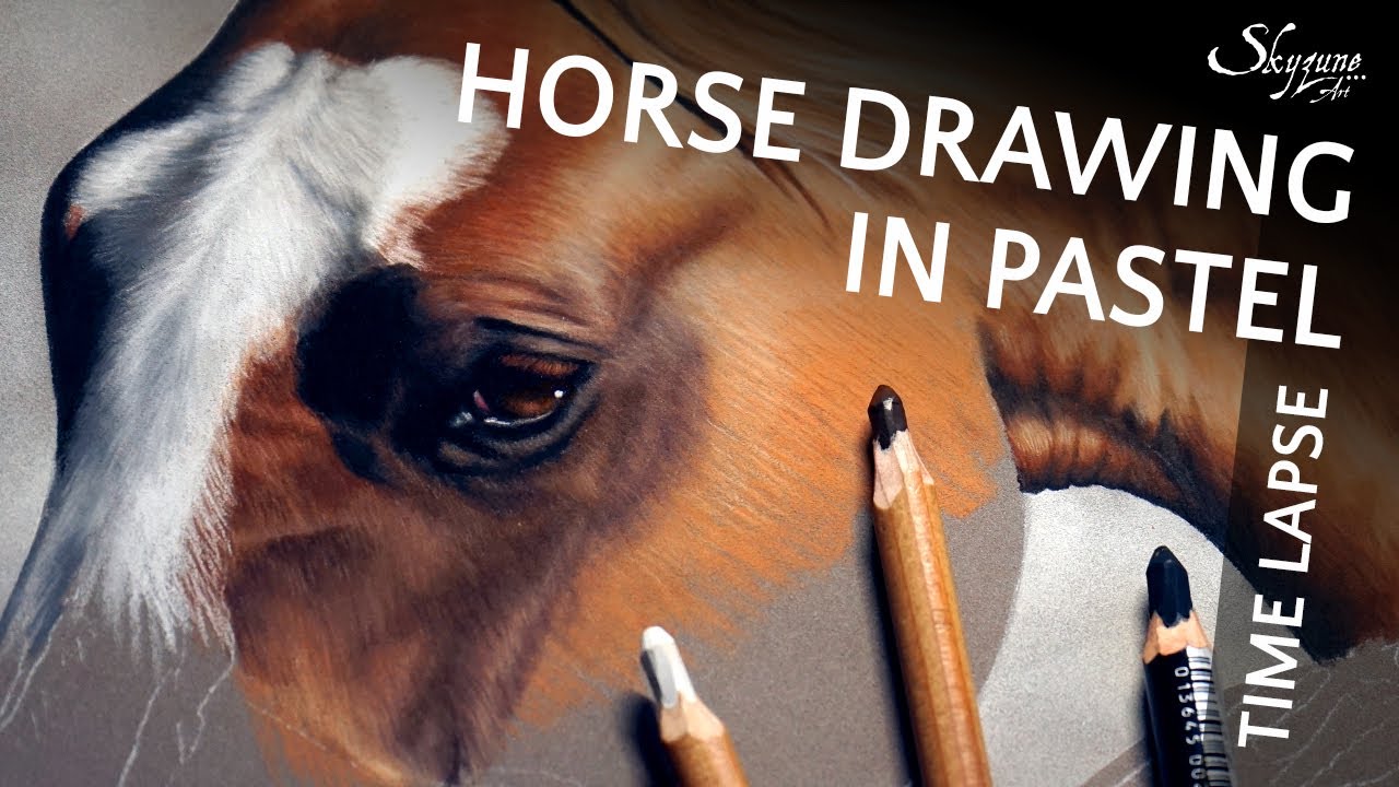 🎨 Horse drawing in soft pastel / Dessiner un cheval au pastel sec &bull; Time lapse &bull; Skyzune ART