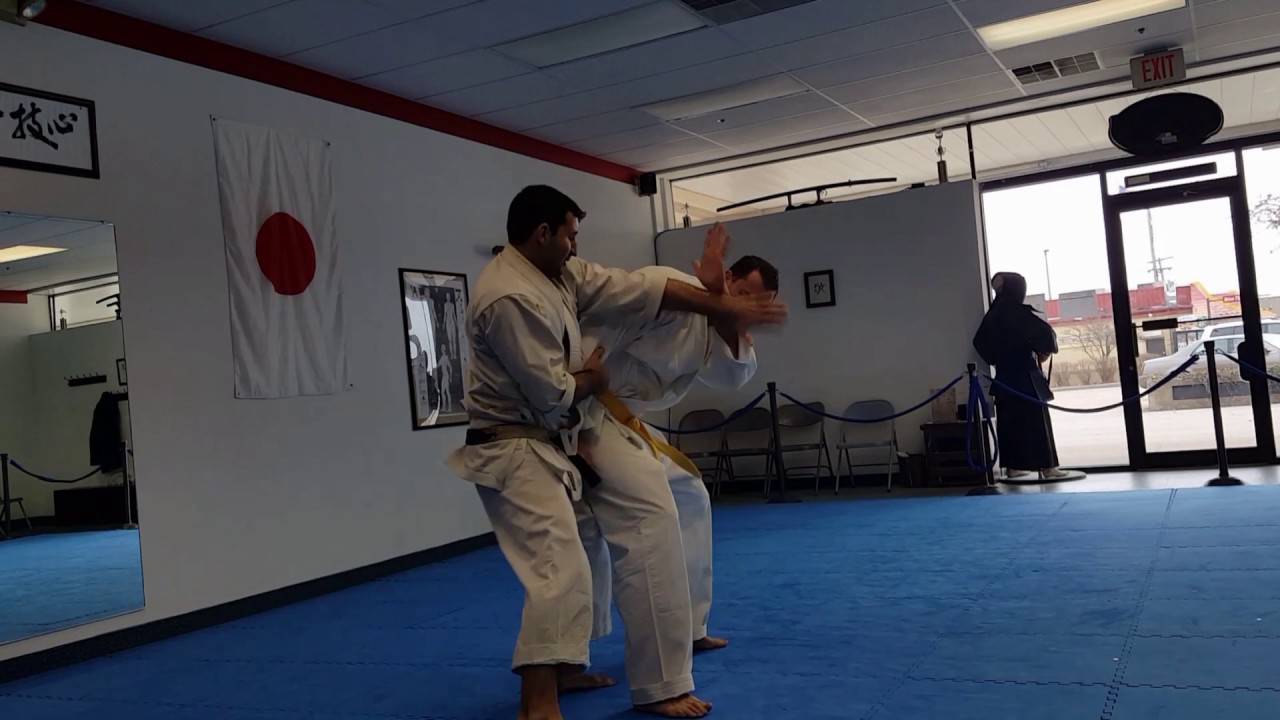 Functional Karate: Heian Nidan two person drill