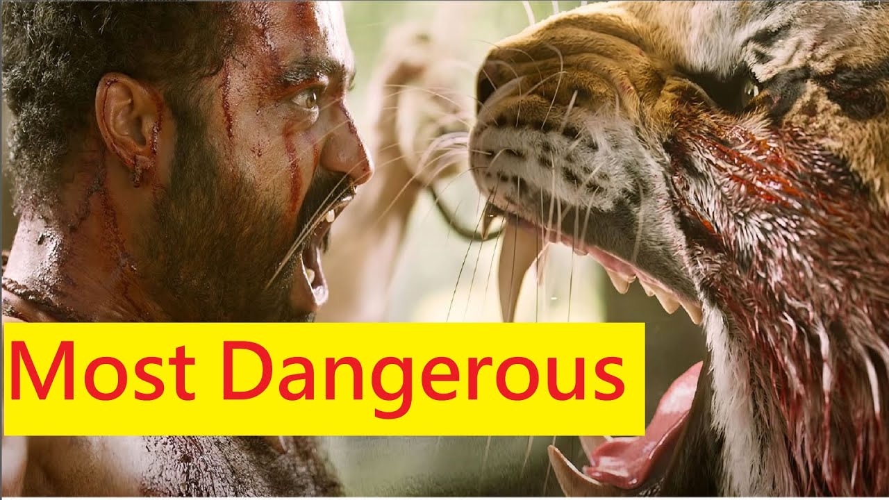 World&rsquo;s Most DANGEROUS Animals