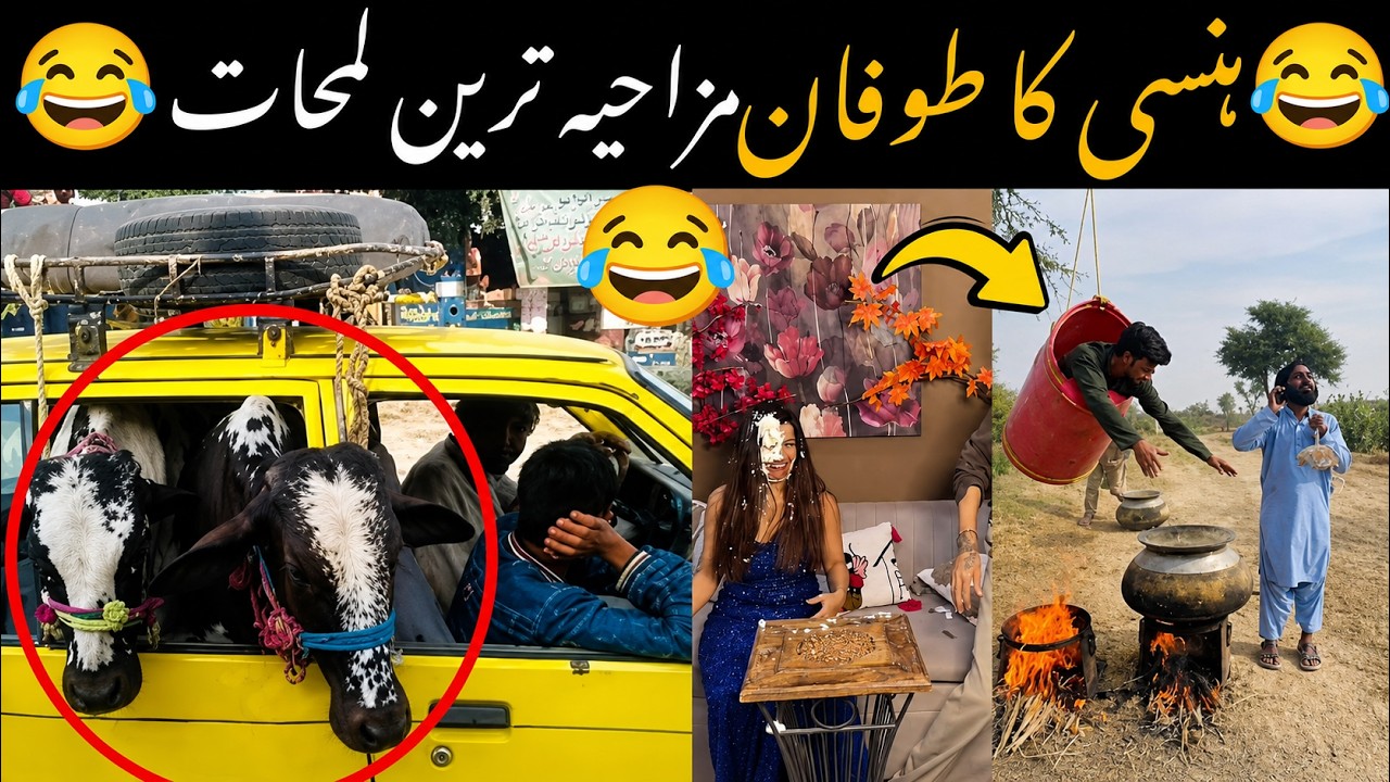 MOST FUNNY MOMENTS OF PAKISTANI  PEOPLE | PART NO 79  😂🤣 | Pakistani Funny Video