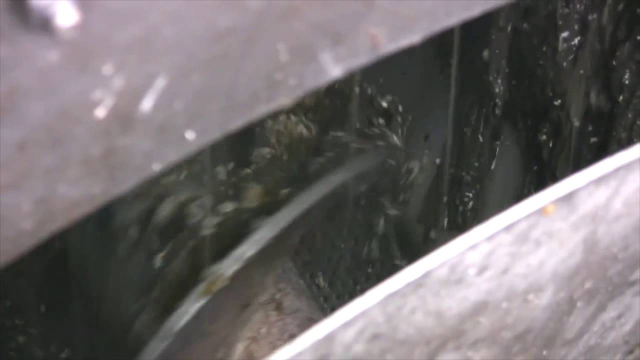 Beast Screening Septage in Italy