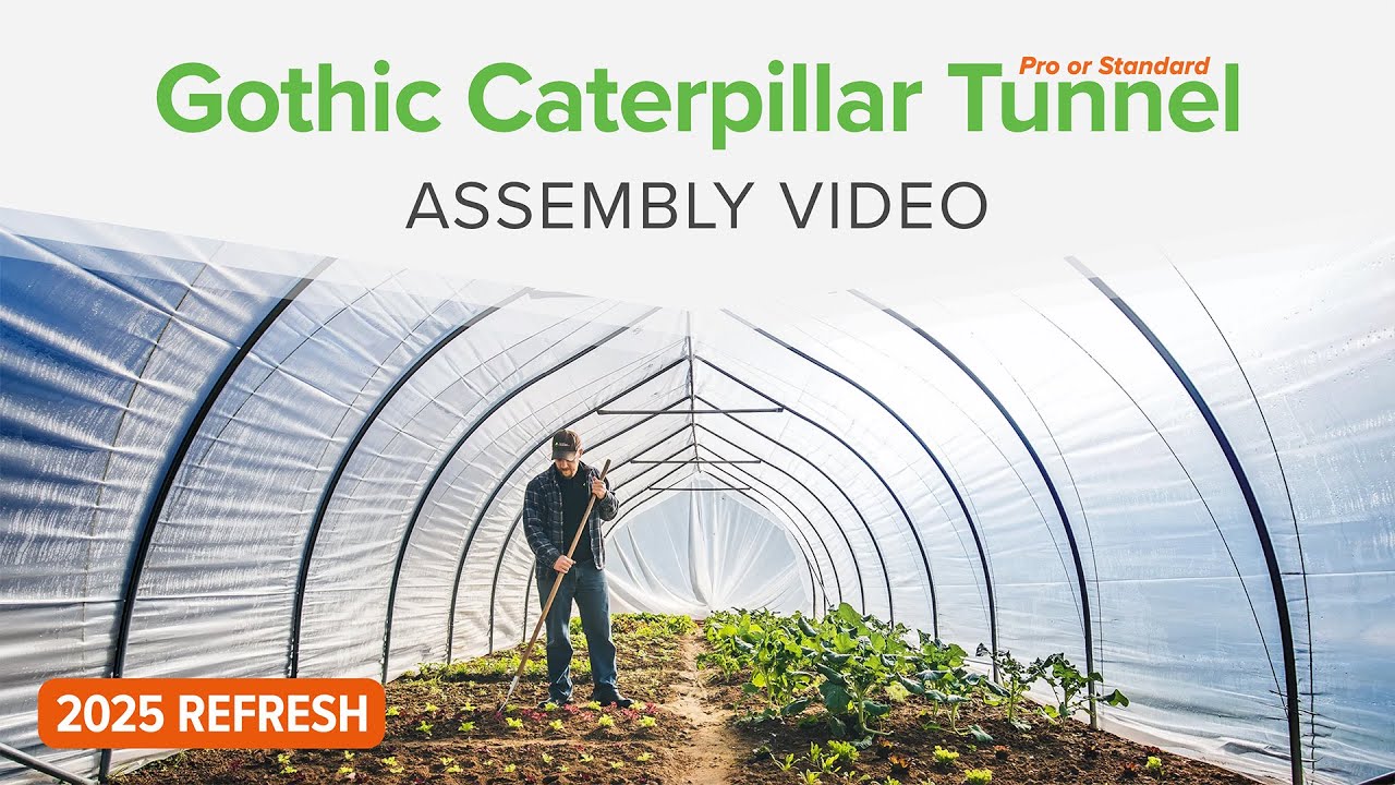 How to build a Gothic Caterpillar Tunnel (2025 edition)