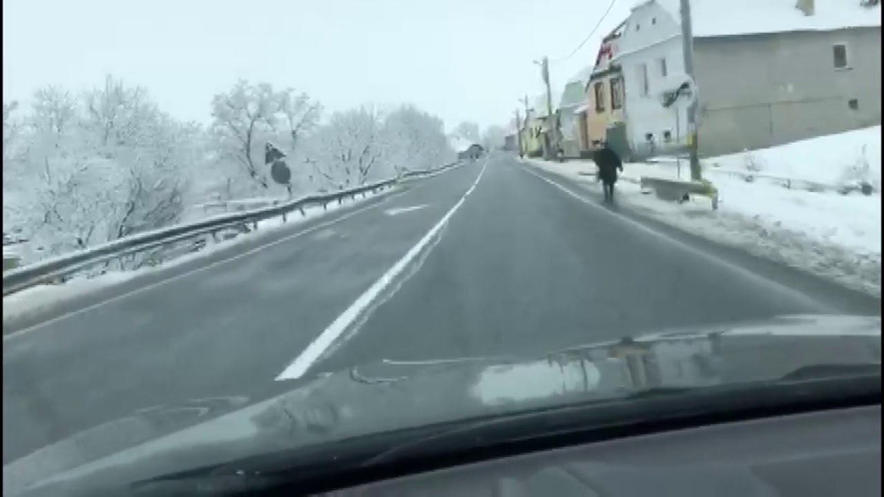 WinterSchweischer2018