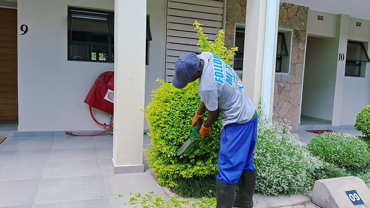 Serious at work #magtommedia #trending #flowerarrangement #subscribe #garden #flowerarrangement 
