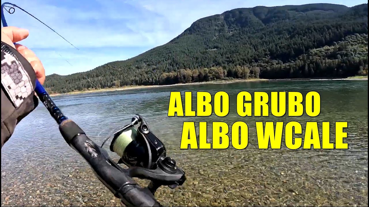 Atak Niuchacza oraz wędka na trocie i nie tylko