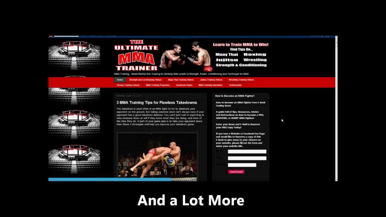 MMA Training, Workouts, Drills, Circuits, Techniques, Beginners