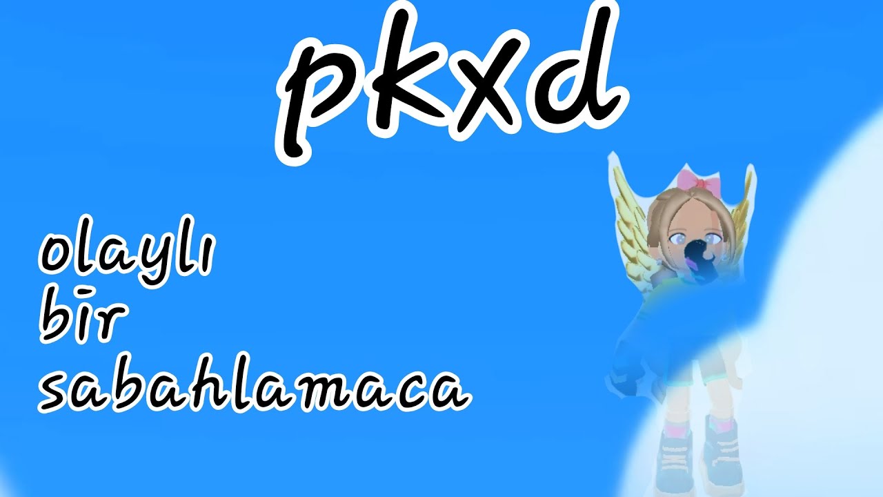 Olaylı bir sabahlamaca/başımıza neler geldi/pk xd
