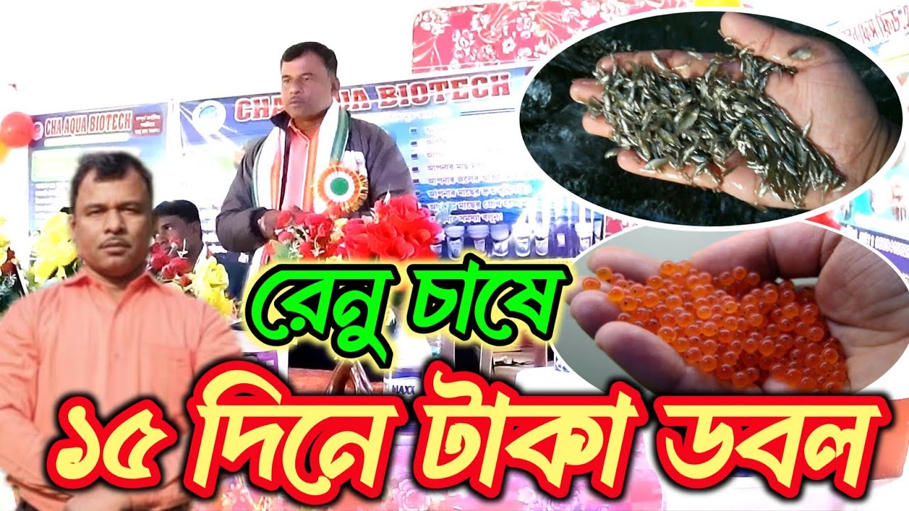 ডিম পোনা চাষ করে 15 দিনে টাকা ডবল। কি বলছেন বিশেষজ্ঞ শুনুন। মেদনী পুর ধামাকা প্রোগ্রাম পার্ট 3