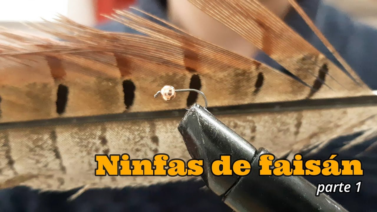 Montaje de ninfas de faisán, pheasant nymphs (nivel principiante) parte 1