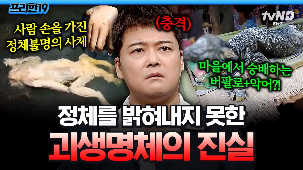 [#프리한19] 버팔로의 몸에서 태어난 악어를 닮은 생명체?! 믿기 힘든 괴생명체의 증거만 모아봤습니다💥