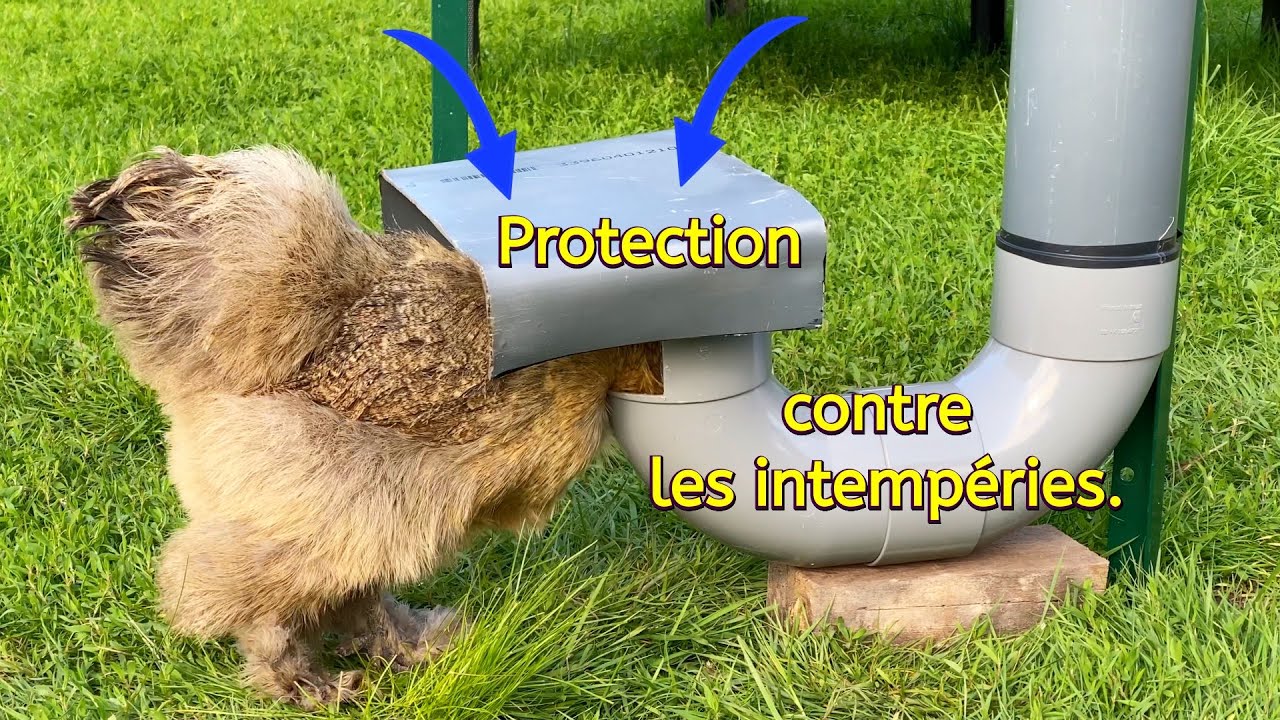 Mangeoire facile à réaliser 3/5. Protection contre les intempéries.