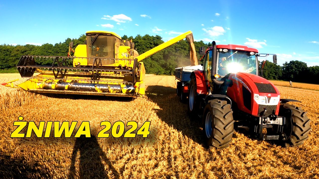 ZACZYNAMY ŻNIWA 2024 / NEW HOLLAND TC 56 / ZETOR & URSUS [VLOG 91]
