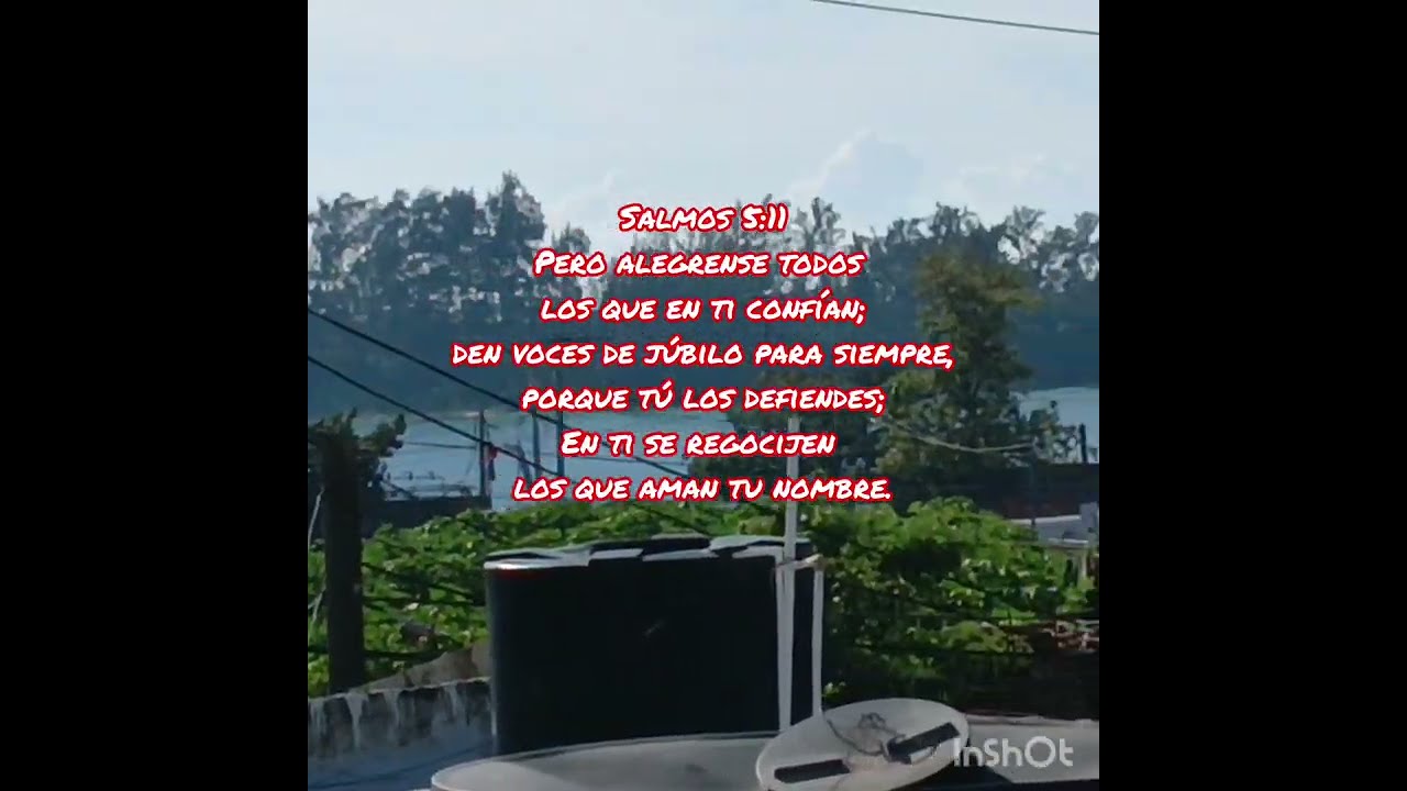 ///PONGO MÍ CONFIANZA EN DIOS///NO TODO SALE BIEN, TÉ CUENTO///CONTINUACIÓN LIMPIEZA EN LA COCINA///