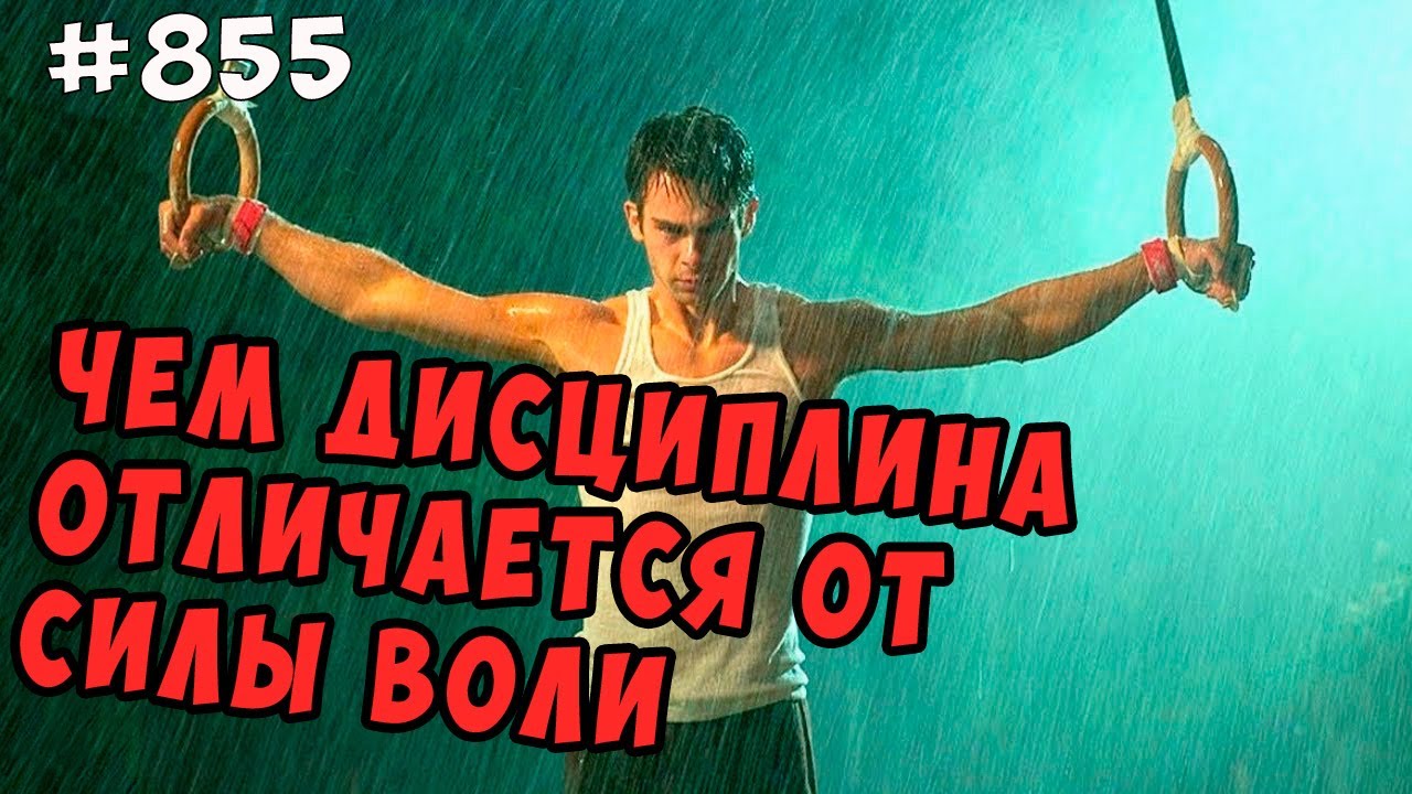 Чем дисциплина отличается от силы воли? И что лучше ? Психология достижений