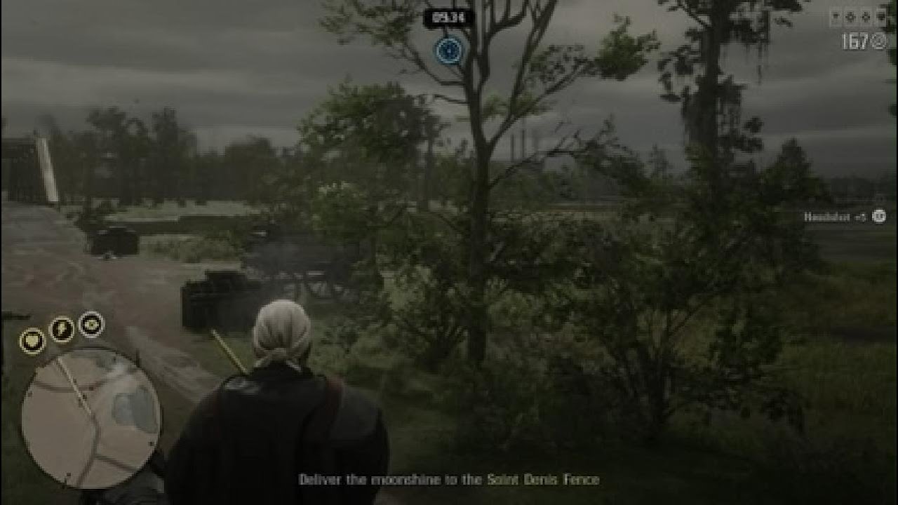 RDR2 Online Moonshine short cut to Saint Denis fence