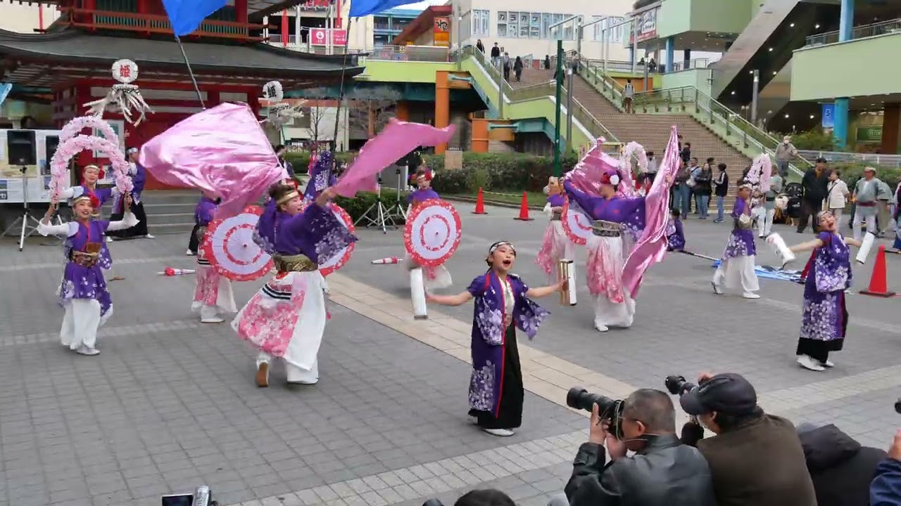 横浜百姫隊（Ebinaよさこい2026・「二十四節季 七十二候 夏風いたりて祭り咲く」・七重の塔前その二）