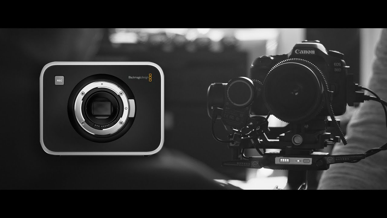 BMCC 2.5k MFT + Samyang  85 mm 1.5 T. 2023 .4k.