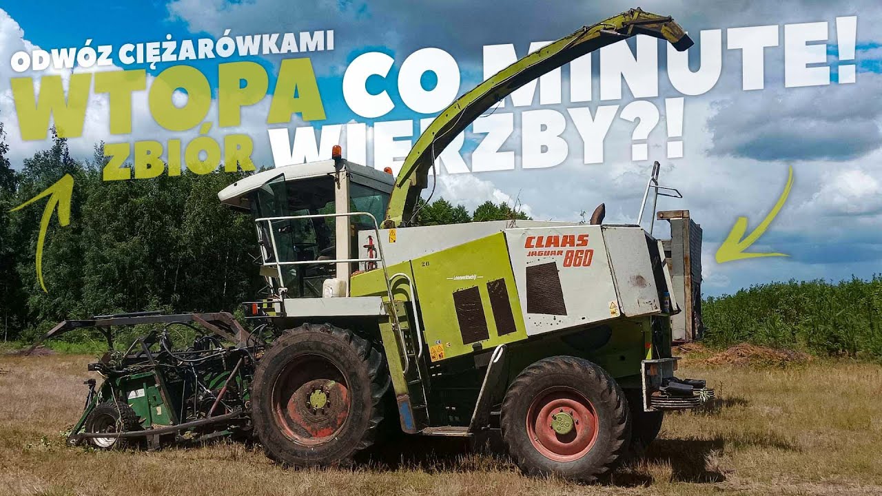 🇵🇱 ㋛︎ Extremalne Koszenie Wierzby Wtopa ㋛︎ Co Minute Claas Jaguar x2 ㋛︎   Star Puszcza Dymek ㋛︎