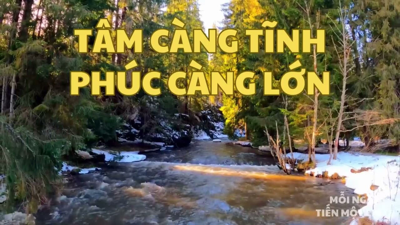 Tâm Càng Tĩnh Phúc Càng Lớn - Chúng ta cùng nghe và cùng suy ngẫm