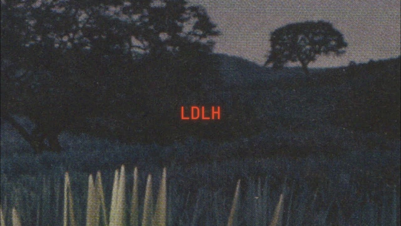 LDLH (Love Don’t Live Here) - Peezy Boii 