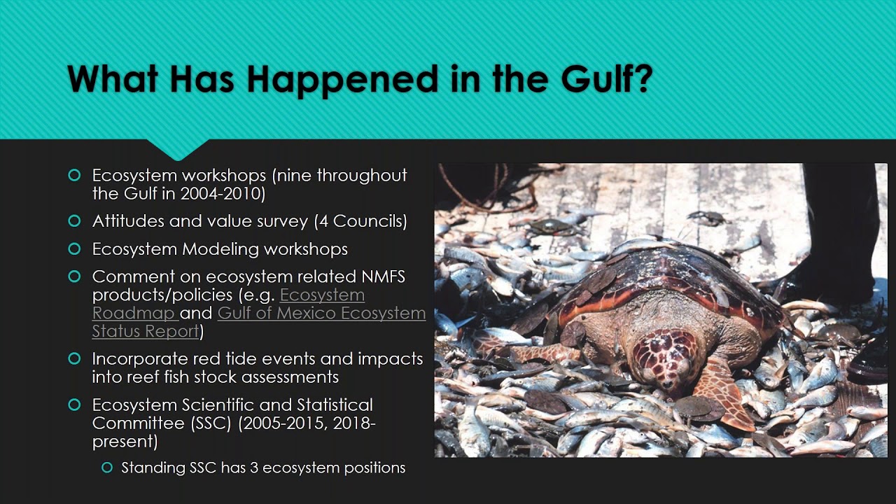 Why is ecosystem management so hard to do?