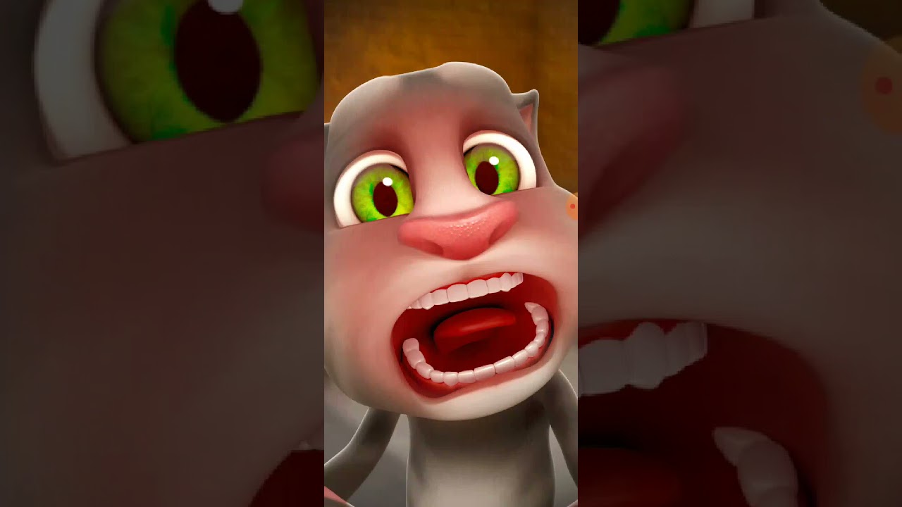 Talking Tom Cat New Video Best Funny Android GamePlay #4249