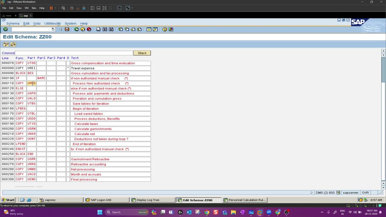 US Payroll Schema (SAP HCM)