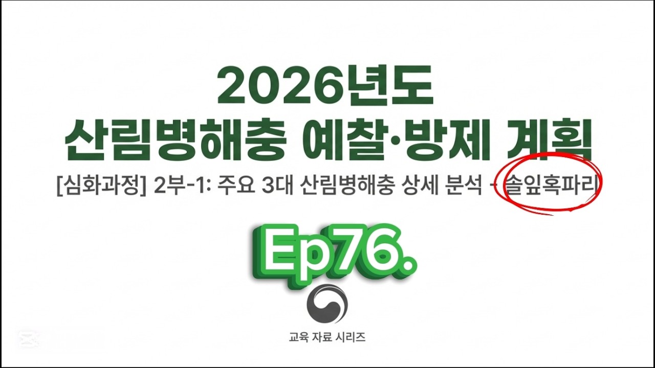 Ep76. 산림병해충 예찰 방제 계획ㅡ솔잎혹파리 (2부-1)