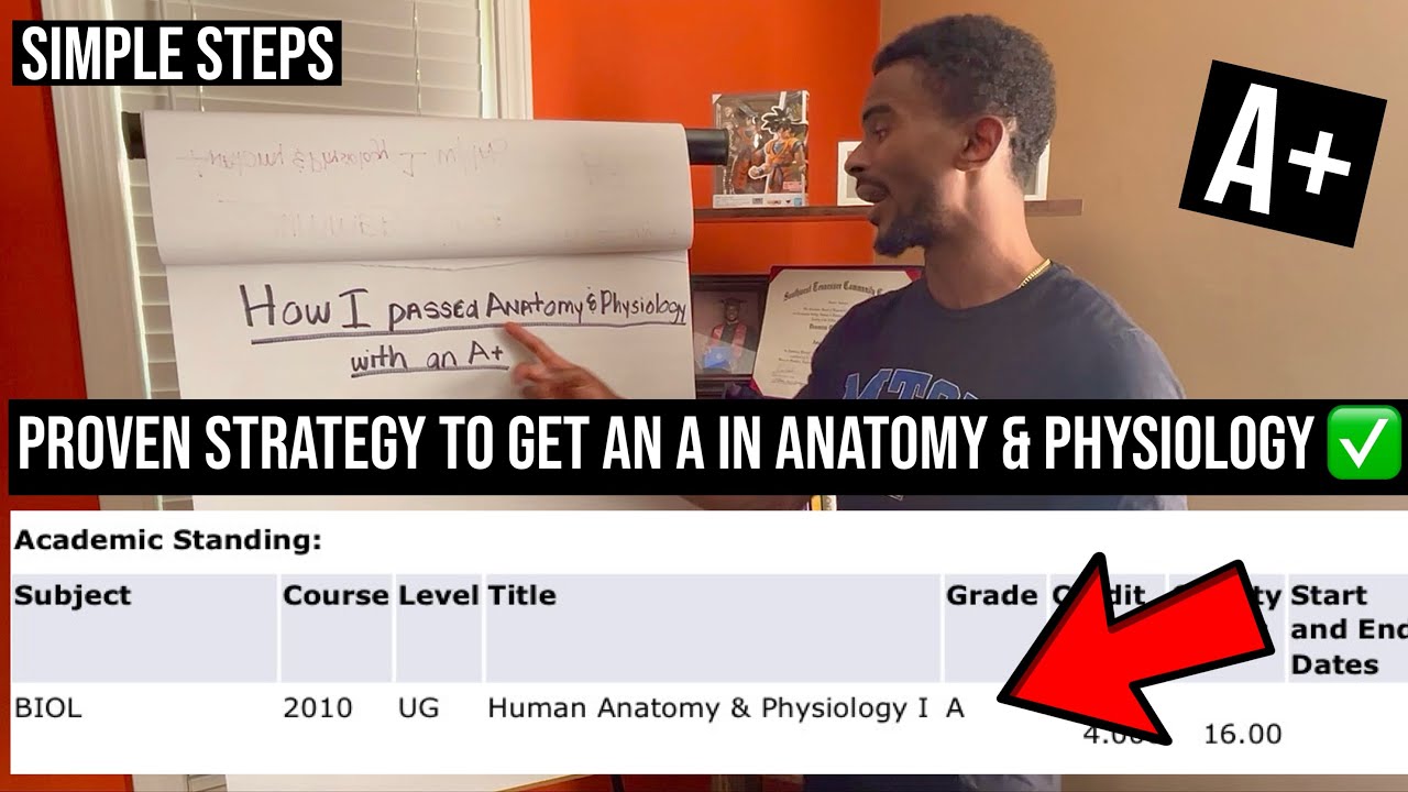 Passed Anatomy & Physiology with an A! Here’s EXACTLY What I Did (PROVEN METHOD) ✅